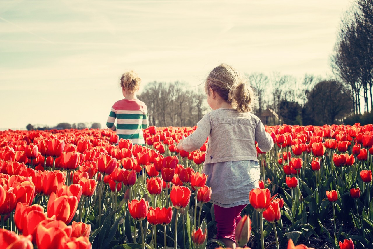 Tipps zur Verbesserung der Gesundheit Ihrer Kinder