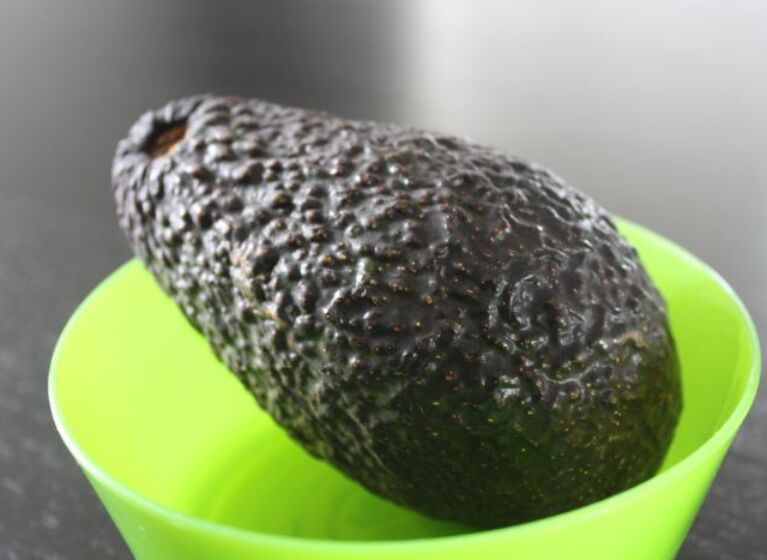 Avocadobrei