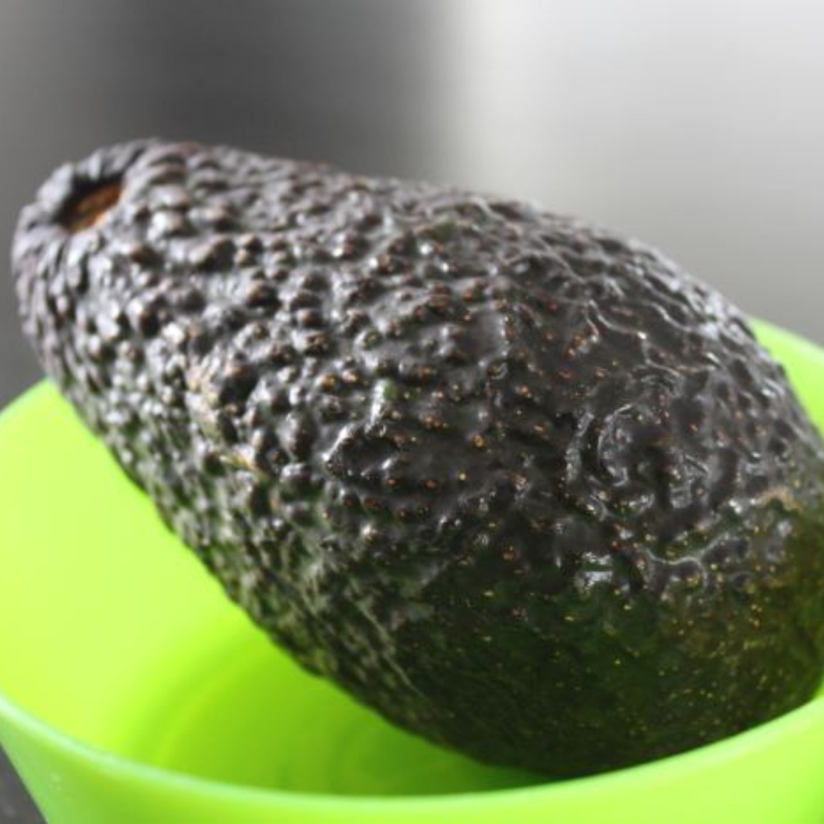Avocadobrei