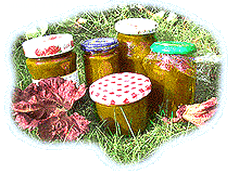 Kürbismarmelade mit Äpfeln