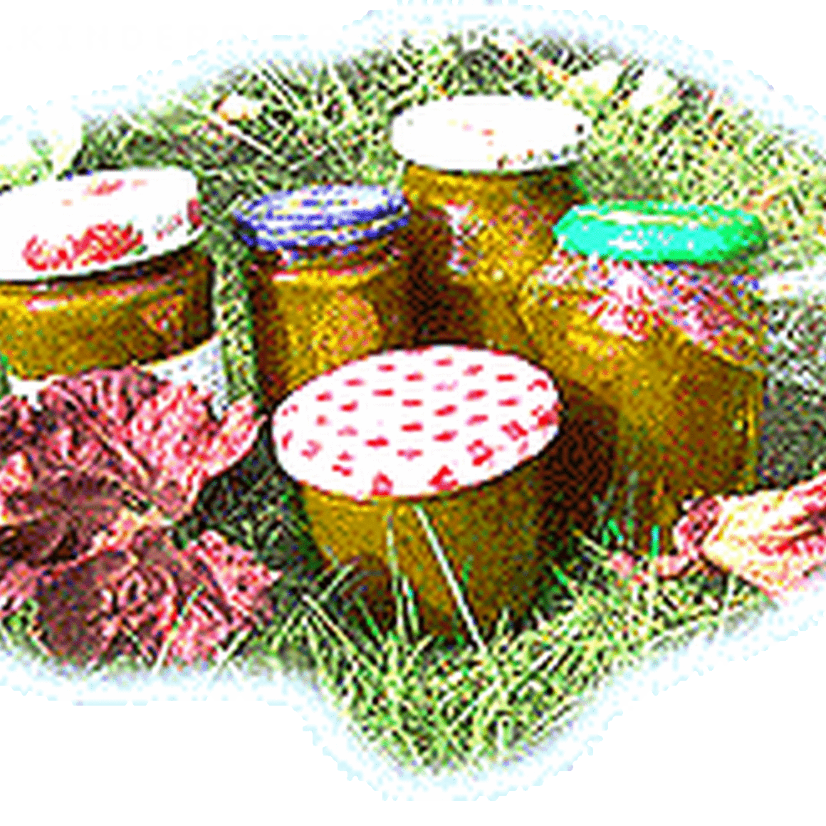 Kürbismarmelade mit Äpfeln
