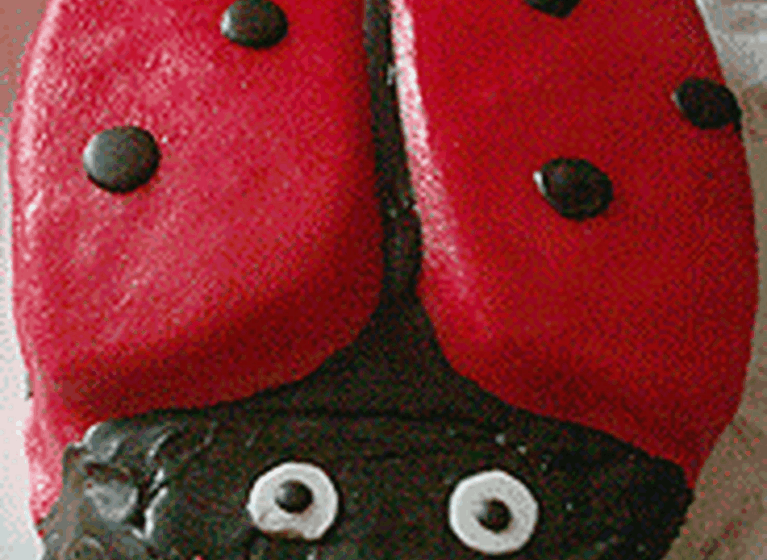 Marienkäfer-Torte