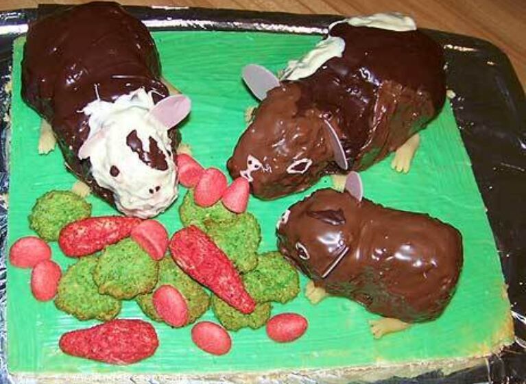 Meerschweinchen-Kuchen