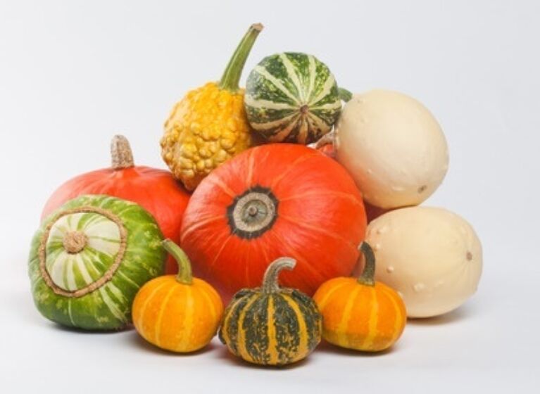Herbstzeit – Kürbiszeit