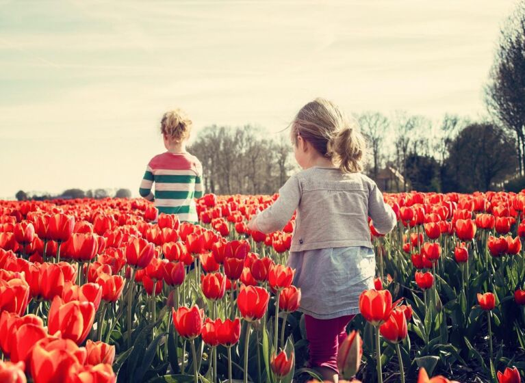 Tipps zur Verbesserung der Gesundheit Ihrer Kinder